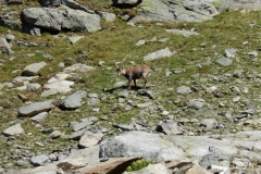 Val d'Uina (2170m)- Val Slingia (1738 (46)