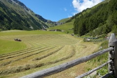 Val d'Uina (2170m)- Val Slingia (1738 (59)